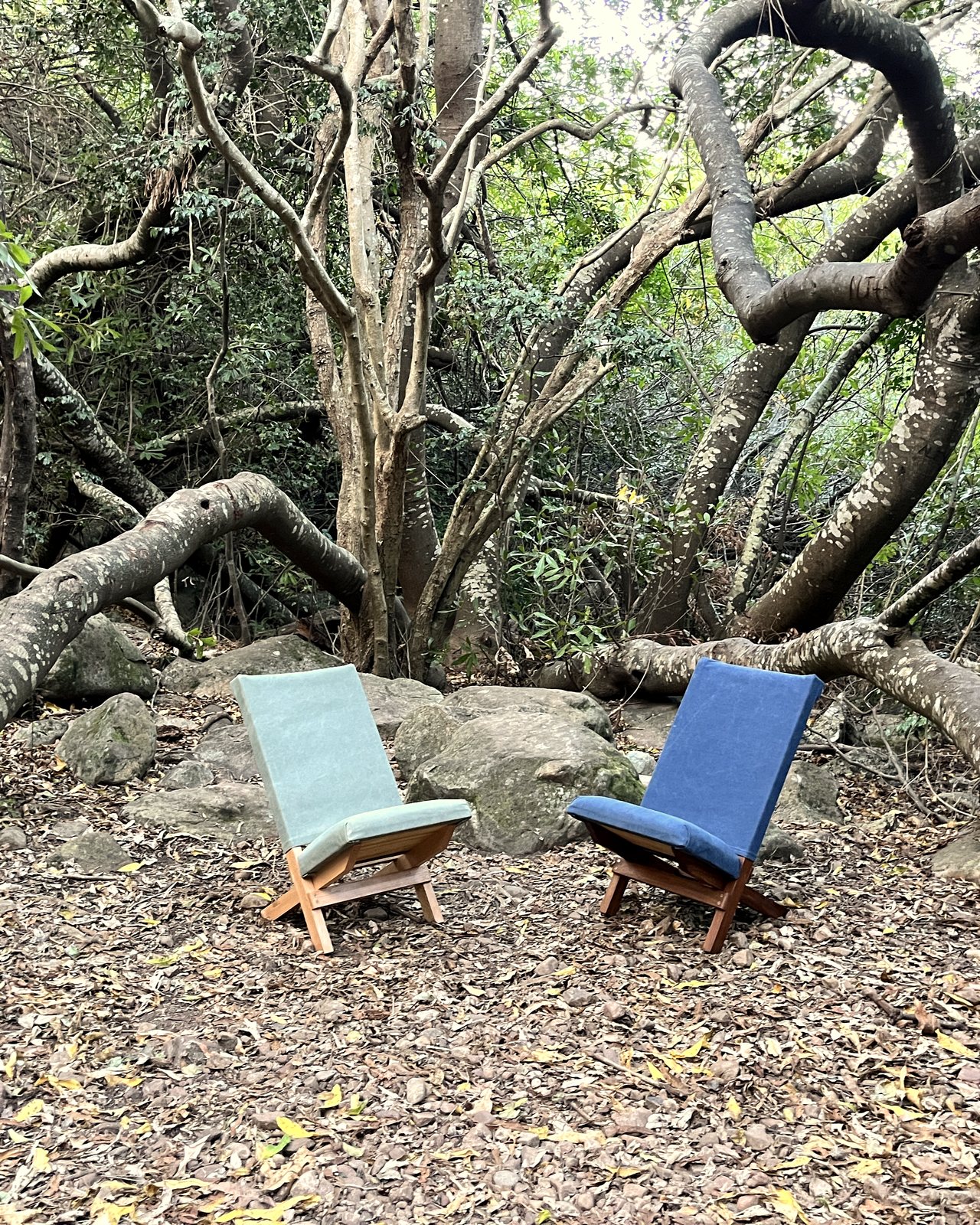 Two wooden folding chairs facing each other in a forest clearing